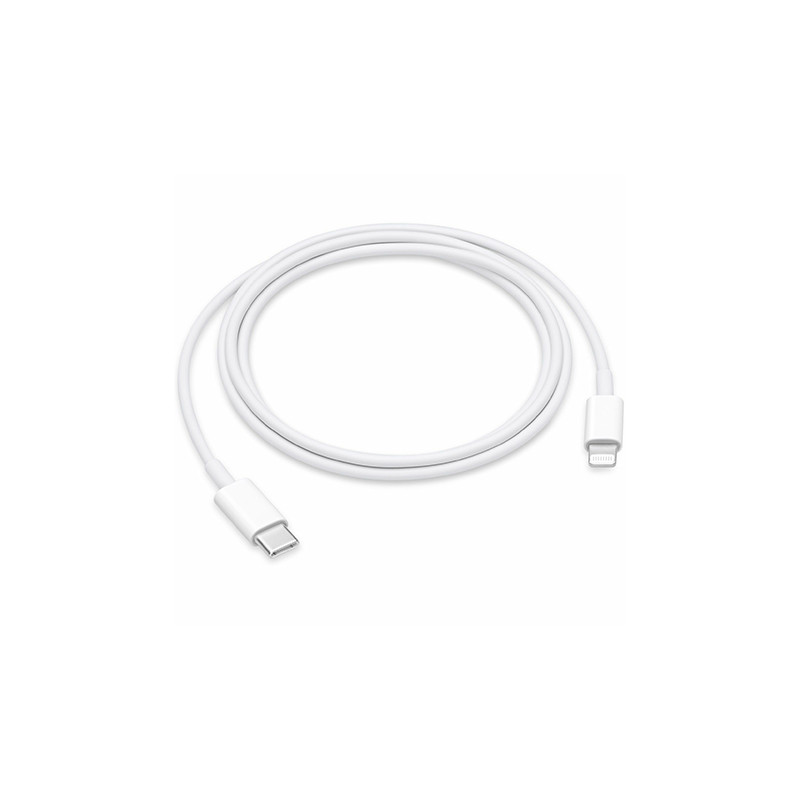 Câble cordon d'Alimentation, chargeur Secteur USB Original Apple