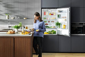 Frigo Electrolux